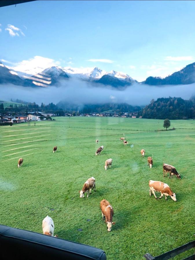 Apartment Weitblick Wald im Pinzgau Exteriér fotografie