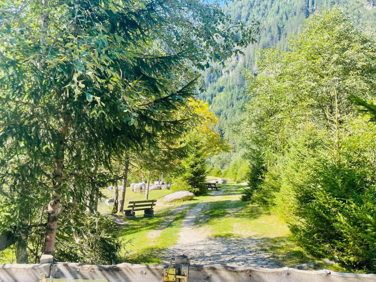 Apartment Weitblick Wald im Pinzgau Exteriér fotografie
