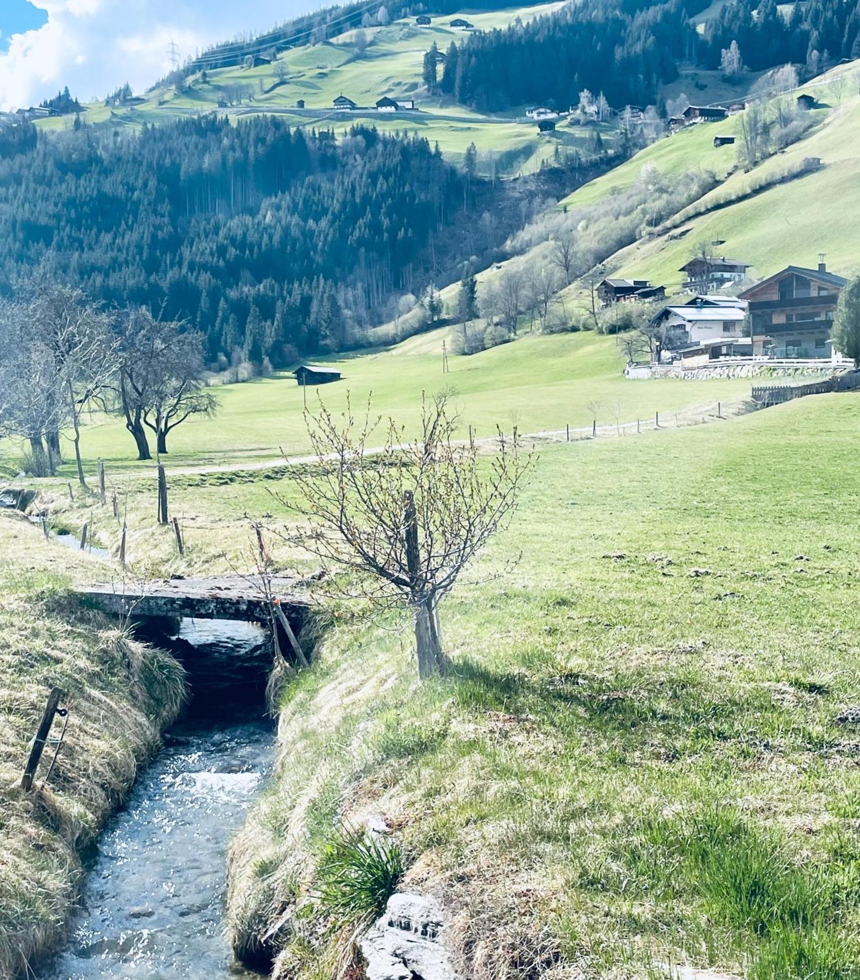 Apartment Weitblick Wald im Pinzgau Exteriér fotografie